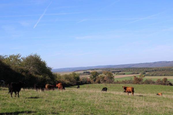 Au Chant Du Coq Wancennes Exteriör bild